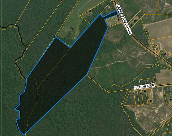 63.62 Acres of Recreational Land for Sale in Roseboro, North Carolina