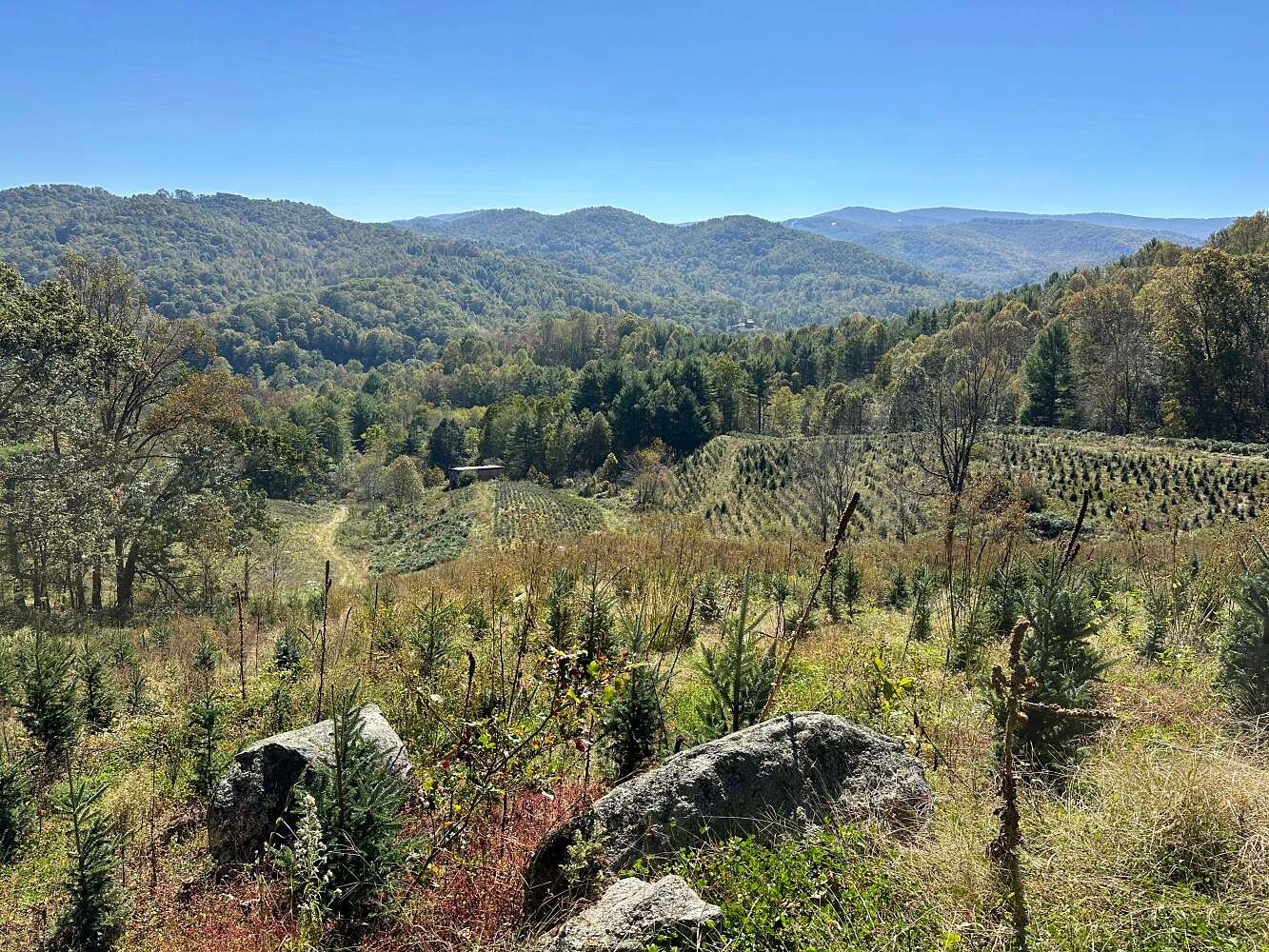 32.66 Acres of Recreational Land & Farm for Sale in Beech Mountain, North Carolina