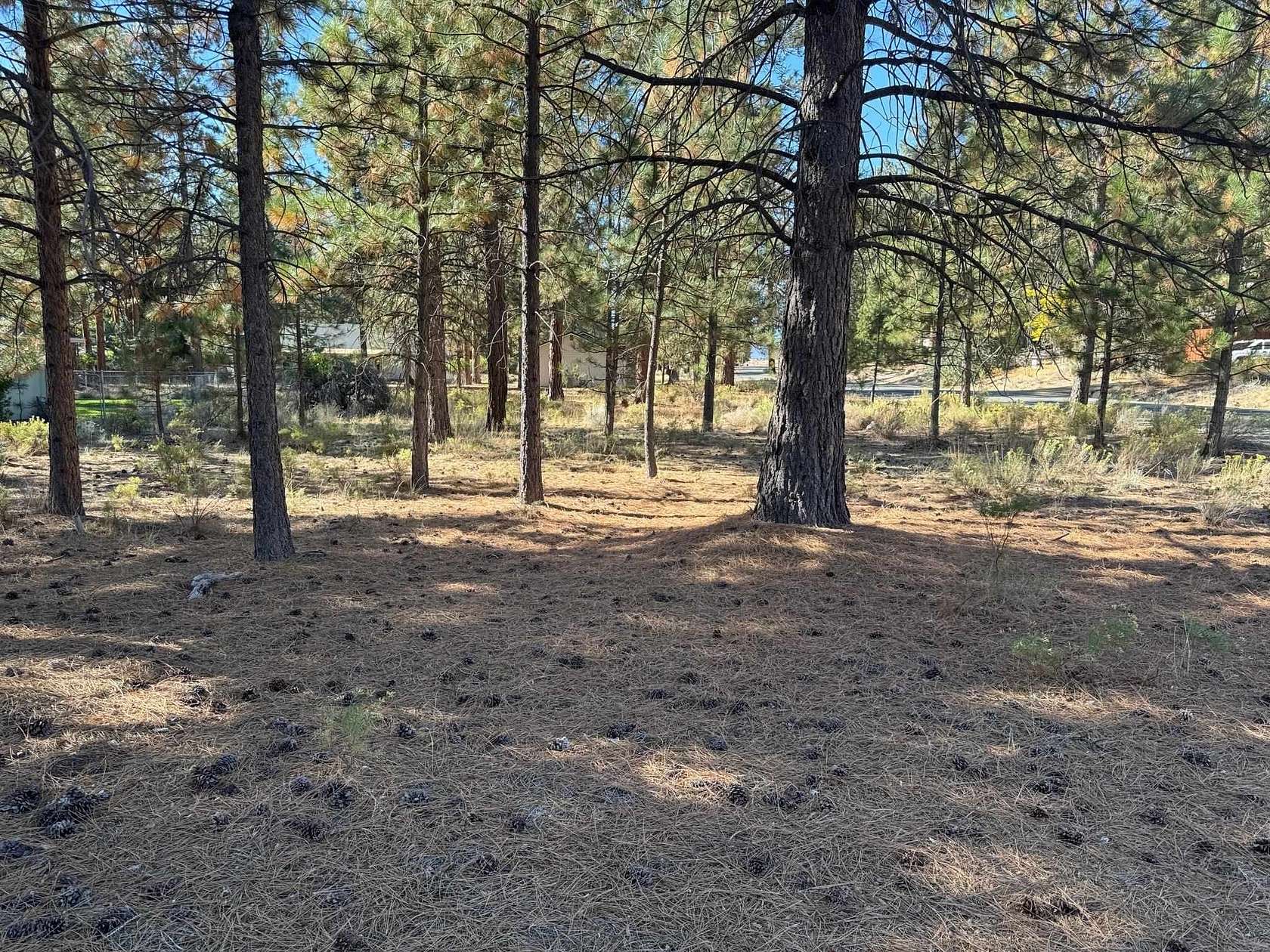 0.24 Acres of Residential Land for Sale in Weed, California