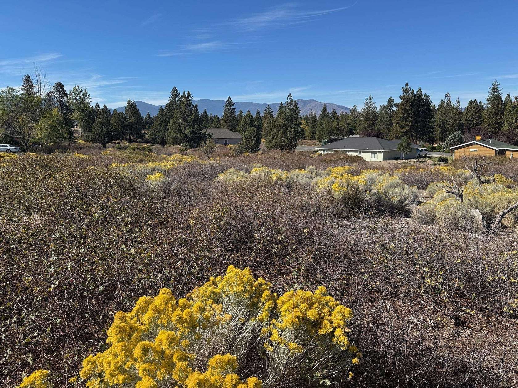 0.24 Acres of Land for Sale in Weed, California