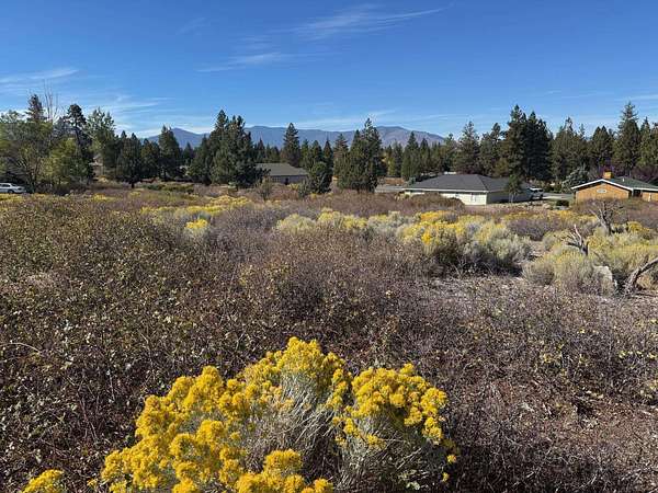 0.24 Acres of Land for Sale in Weed, California
