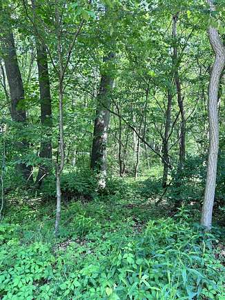 0.44 Acres of Residential Land for Sale in Edwardsburg, Michigan