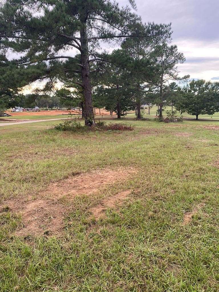 0.59 Acres of Residential Land for Sale in Hawkinsville, Georgia