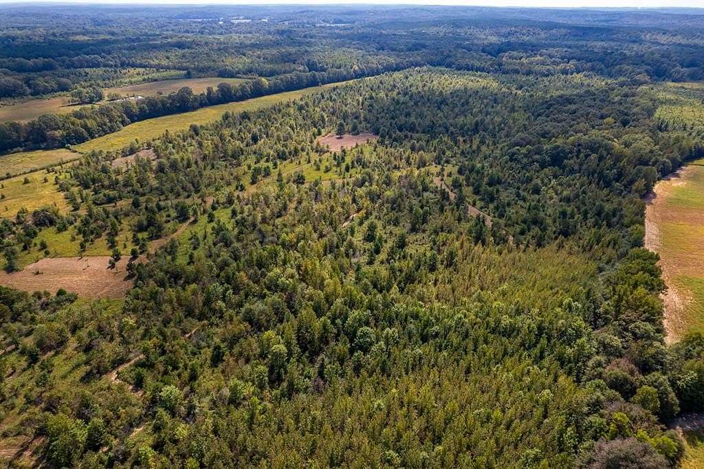 10 Acres of Residential Land for Sale in Oxford, Mississippi