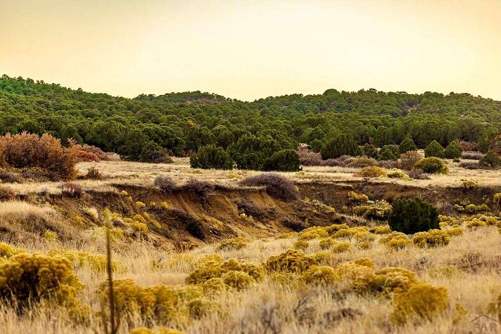 36.019 Acres of Land for Sale in Walsenburg, Colorado