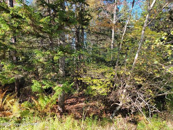 1.2 Acres of Land for Sale in Gouldsboro, Pennsylvania
