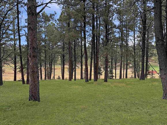 0.48 Acres of Residential Land for Sale in Angel Fire, New Mexico