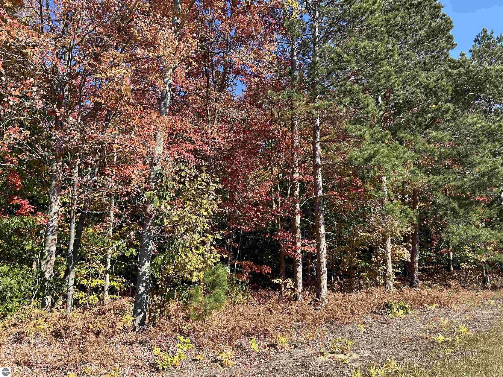 16.3 Acres of Land for Sale in Thompsonville, Michigan