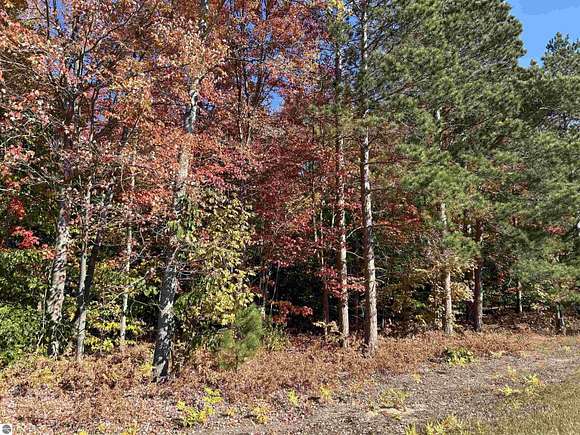 16.3 Acres of Land for Sale in Thompsonville, Michigan