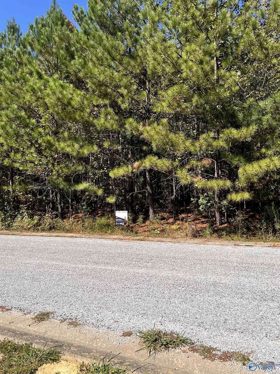 0.54 Acres of Residential Land for Sale in Centre, Alabama