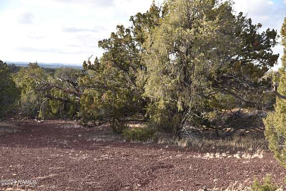 1 Acre of Residential Land for Sale in Williams, Arizona