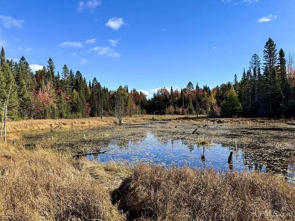 40 Acres of Recreational Land for Sale in Lake Linden, Michigan