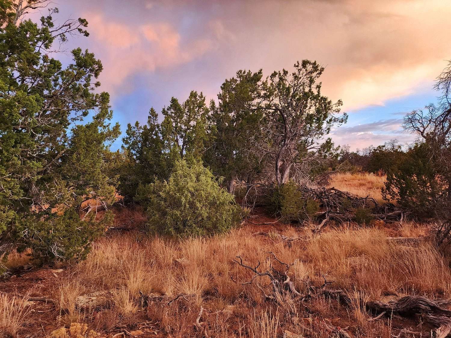 2.4 Acres of Residential Land for Sale in Pinehill, New Mexico