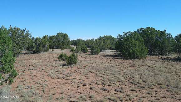 2.33 Acres of Residential Land for Sale in Concho, Arizona