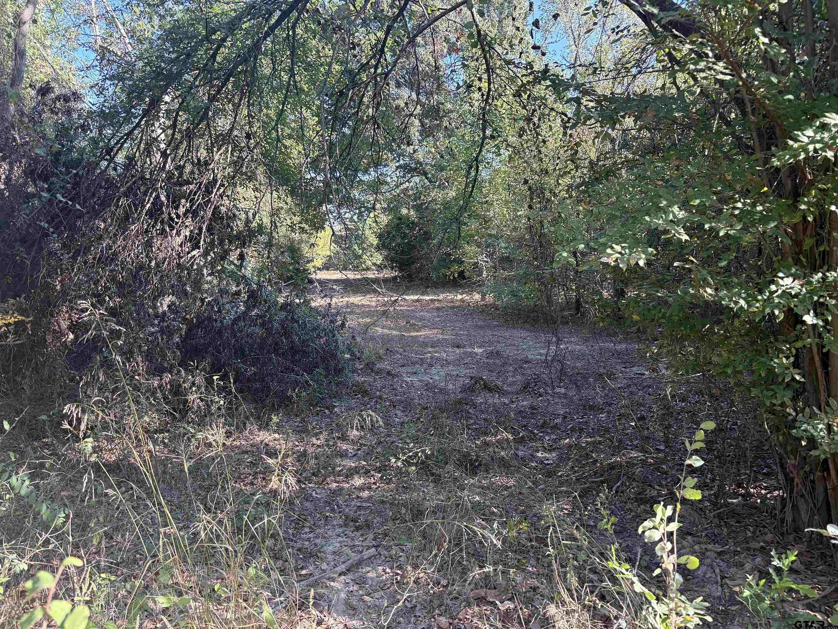 6 Acres of Land for Sale in Brownsboro, Texas