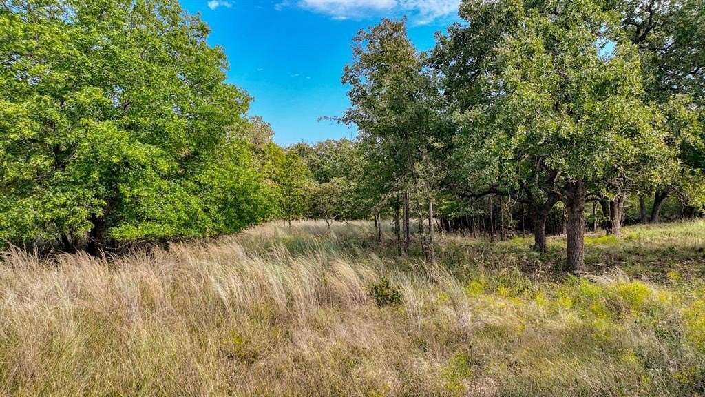 1.543 Acres of Residential Land for Sale in Springtown, Texas