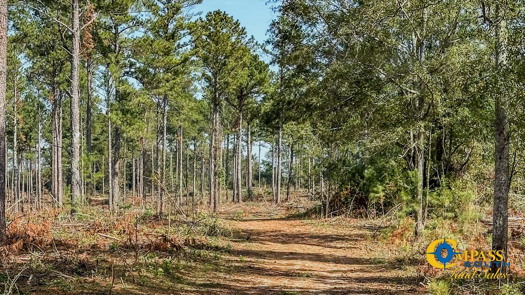 203 Acres of Land for Sale in Madison, Georgia