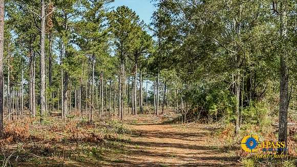 203 Acres of Land for Sale in Madison, Georgia