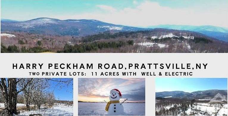 11.2 Acres of Land for Sale in Prattsville, New York