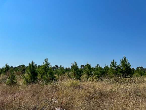 1,726 Acres of Recreational Land for Sale in Redlawn, Texas