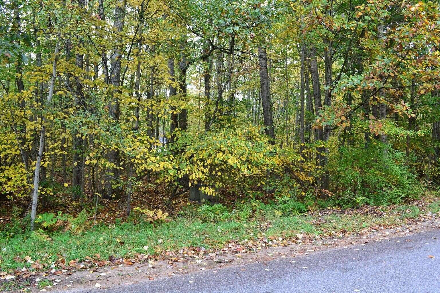 Residential Land for Sale in Houghton Lake, Michigan