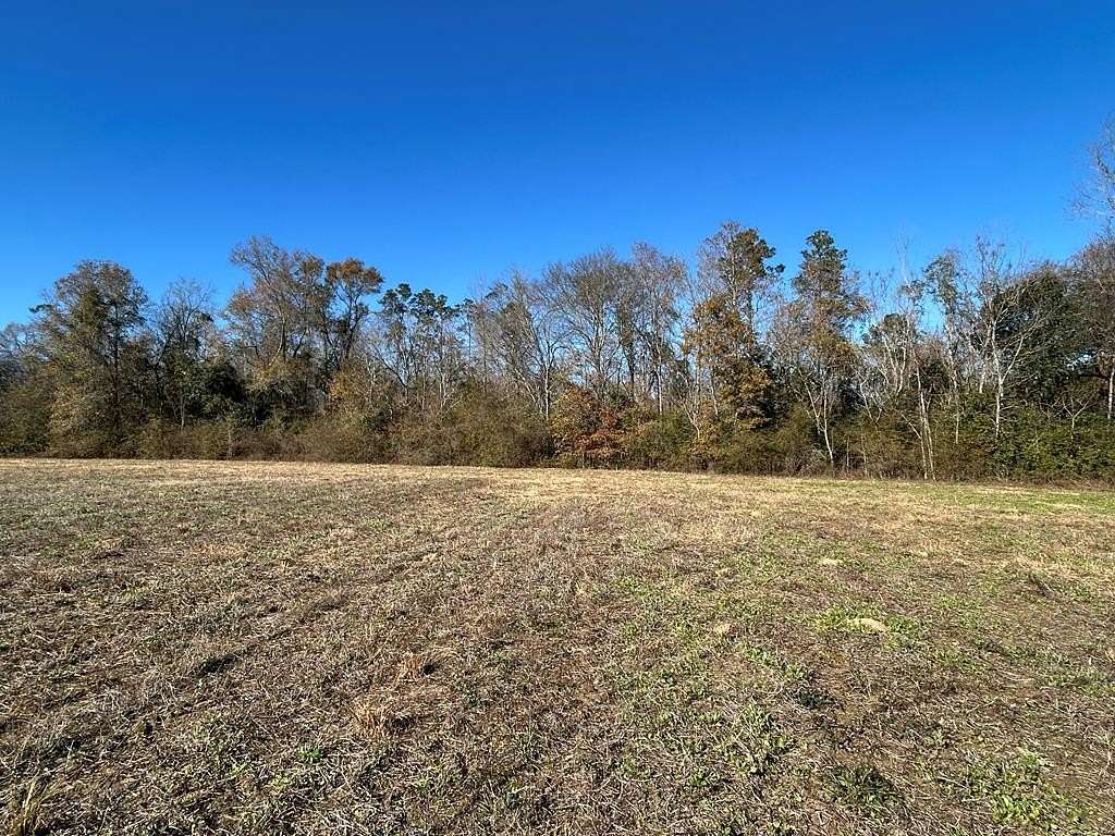 5.296 Acres of Residential Land for Sale in Cottonwood, Alabama