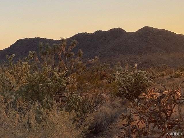 39.57 Acres of Recreational Land & Farm for Sale in Yucca, Arizona