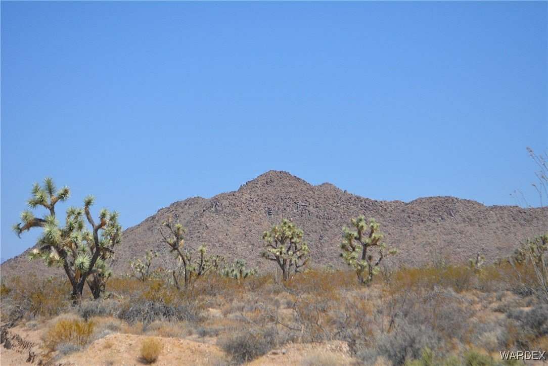 40.01 Acres of Recreational Land & Farm for Sale in Yucca, Arizona