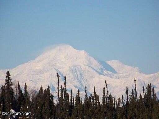 17.6 Acres of Improved Land for Sale in Trapper Creek, Alaska