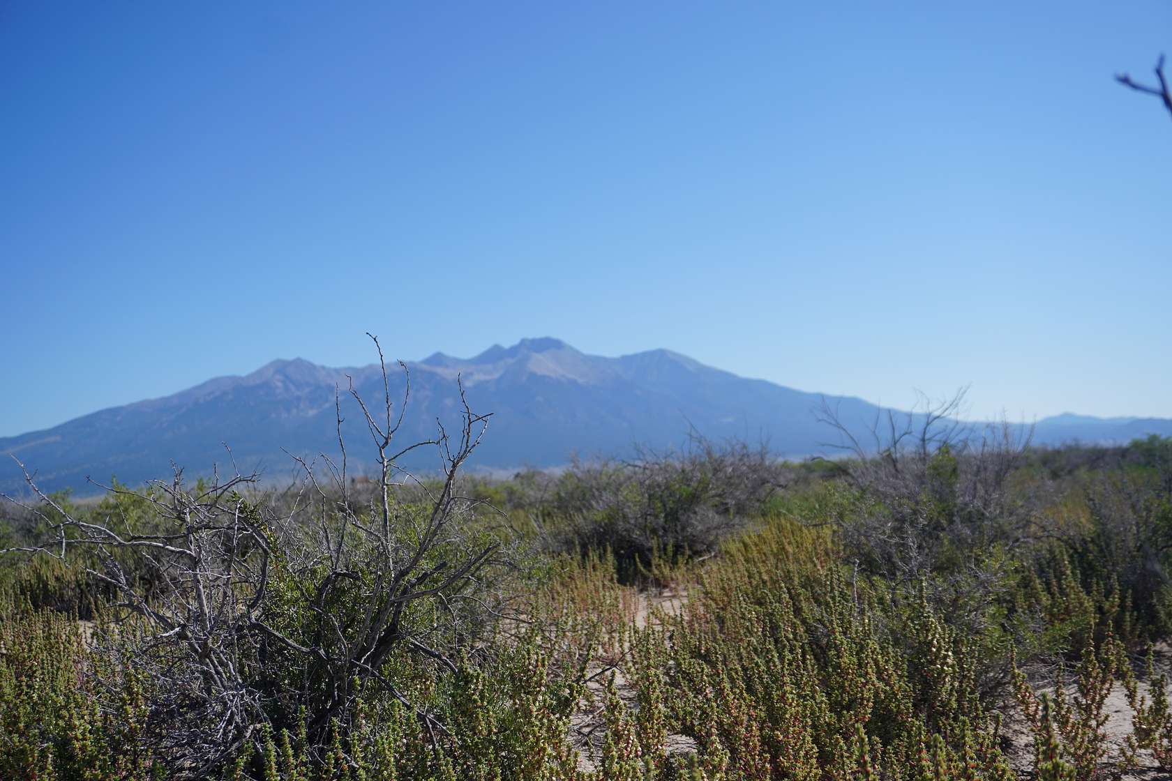 1.26 Acres of Residential Land for Sale in Alamosa, Colorado