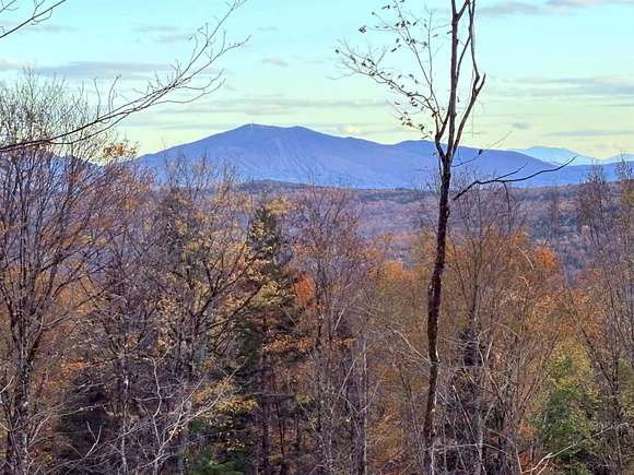 11.9 Acres of Land for Sale in Newark Town, Vermont