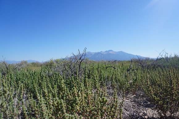 1.25 Acres of Residential Land for Sale in Alamosa, Colorado