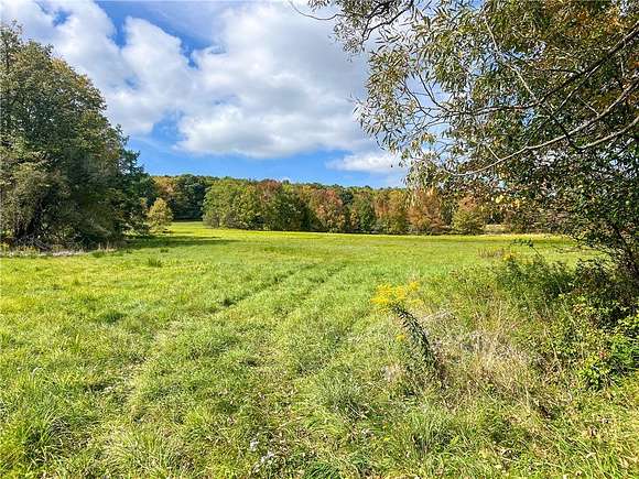 65.3 Acres of Agricultural Land for Sale in Franklin, New York