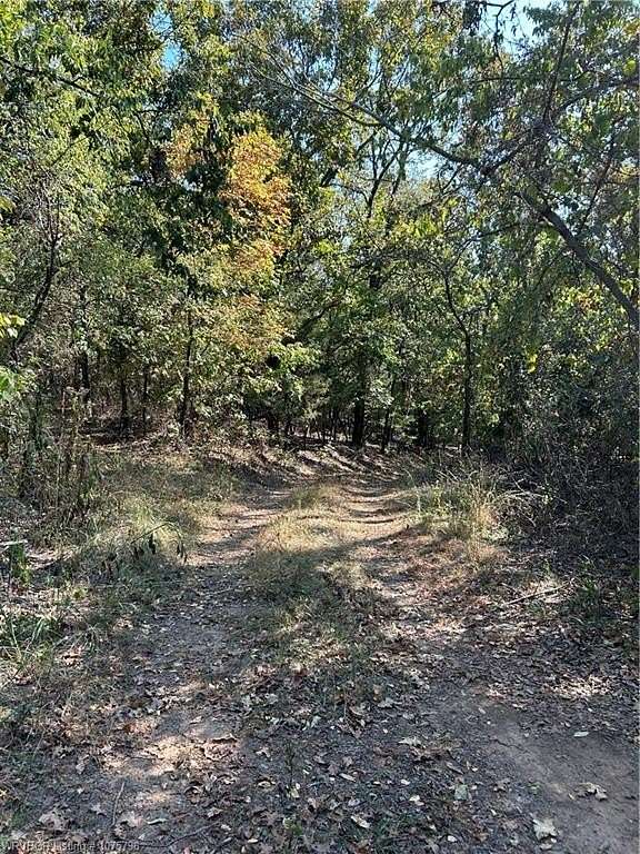 40 Acres of Recreational Land for Sale in Chester, Arkansas