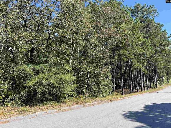 1.07 Acres of Residential Land for Sale in Gaston, South Carolina