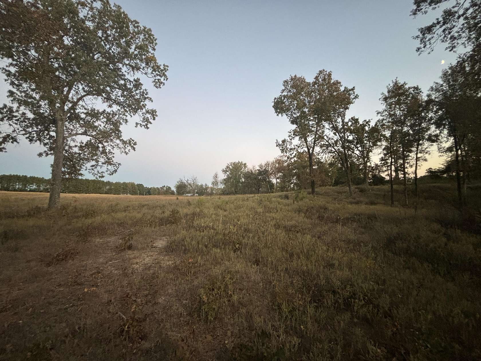 30 Acres of Land for Sale in Hector, Arkansas