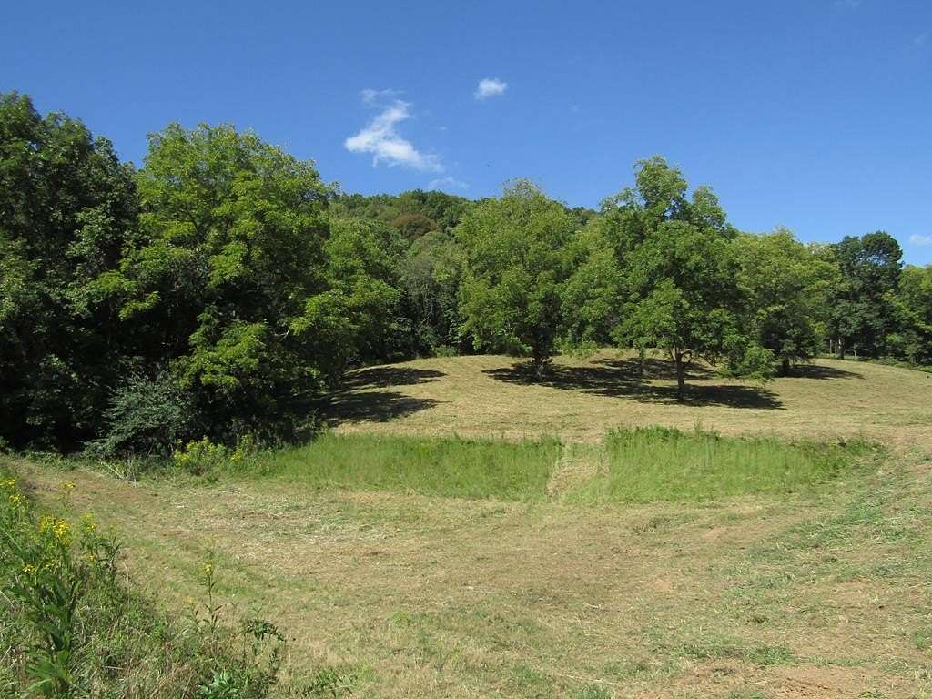 14 Acres of Land for Sale in Lafayette, Tennessee