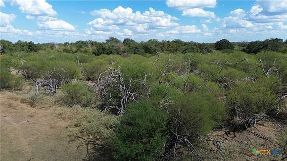 64.855 Acres of Recreational Land & Farm for Sale in Weimar, Texas