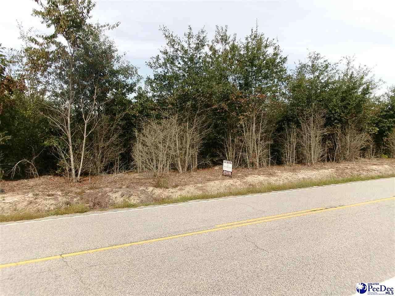 14.3 Acres of Land for Sale in Marion, South Carolina