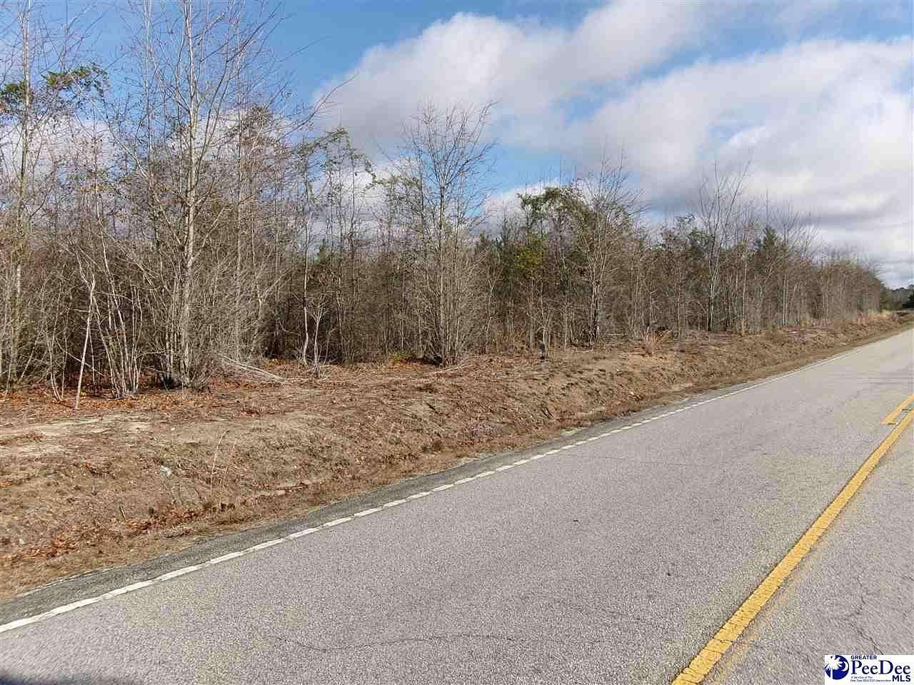 14.3 Acres of Land for Sale in Marion, South Carolina