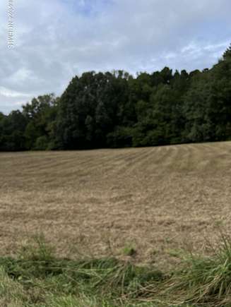 2.24 Acres of Residential Land for Sale in Bailey, North Carolina