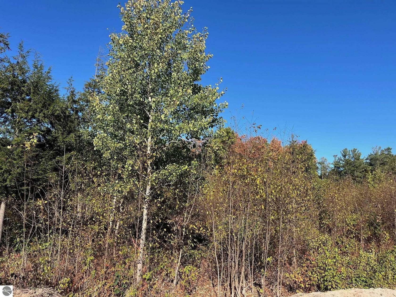 1.01 Acres of Land for Sale in Traverse City, Michigan