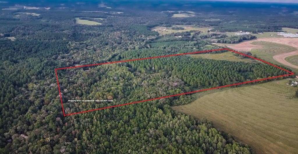 80 Acres of Land for Sale in Coffee Springs, Alabama