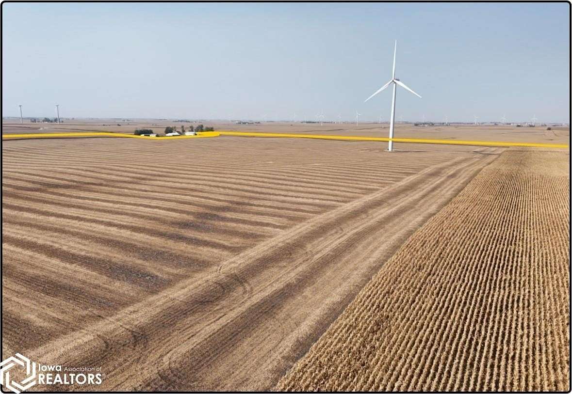 186.42 Acres of Agricultural Land for Auction in Zearing, Iowa