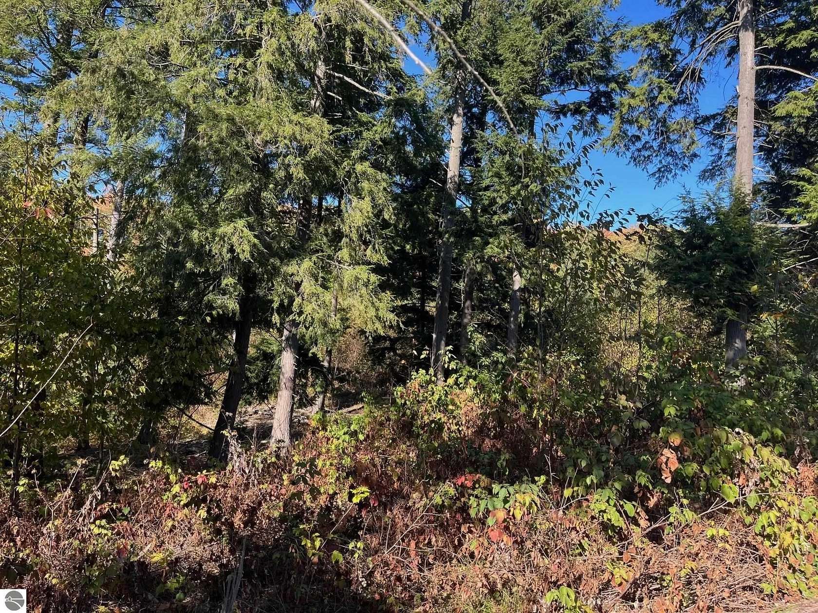 1.61 Acres of Residential Land for Sale in Traverse City, Michigan