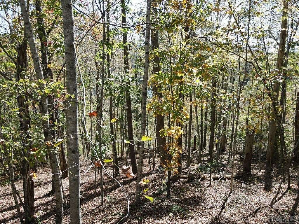 0.36 Acres of Land for Sale in Cashiers, North Carolina