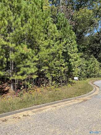 0.78 Acres of Residential Land for Sale in Centre, Alabama