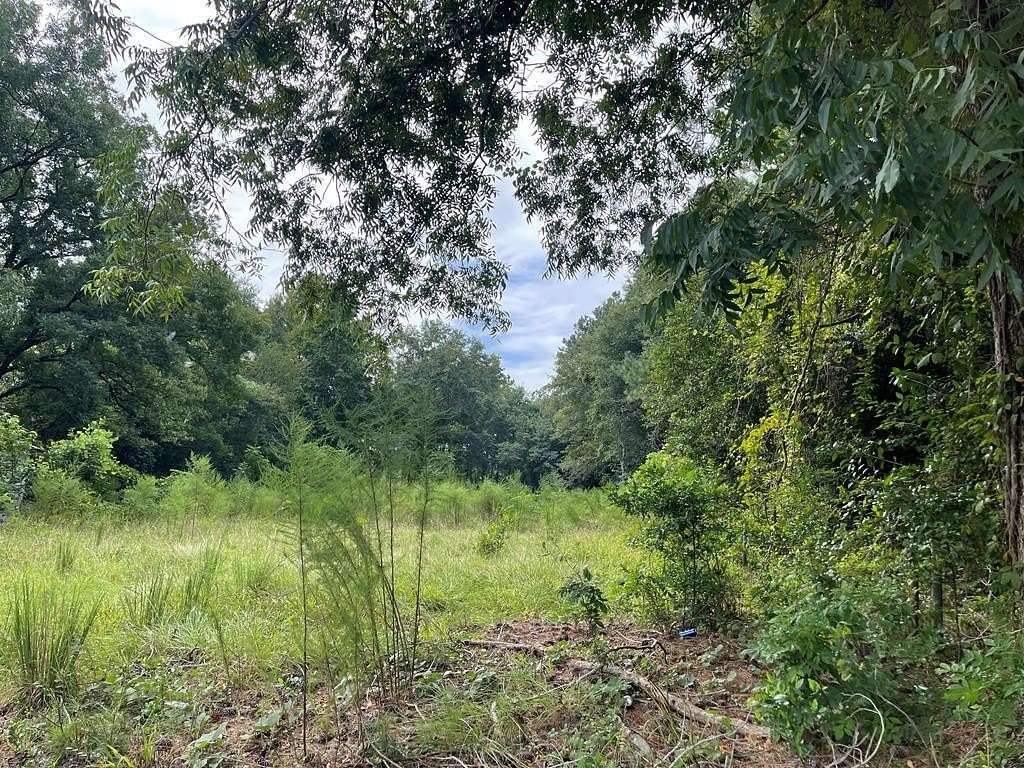 0.5 Acres of Residential Land for Sale in Bamberg, South Carolina