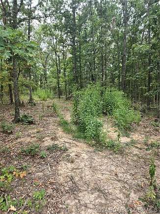 6.04 Acres of Land for Sale in Versailles, Missouri