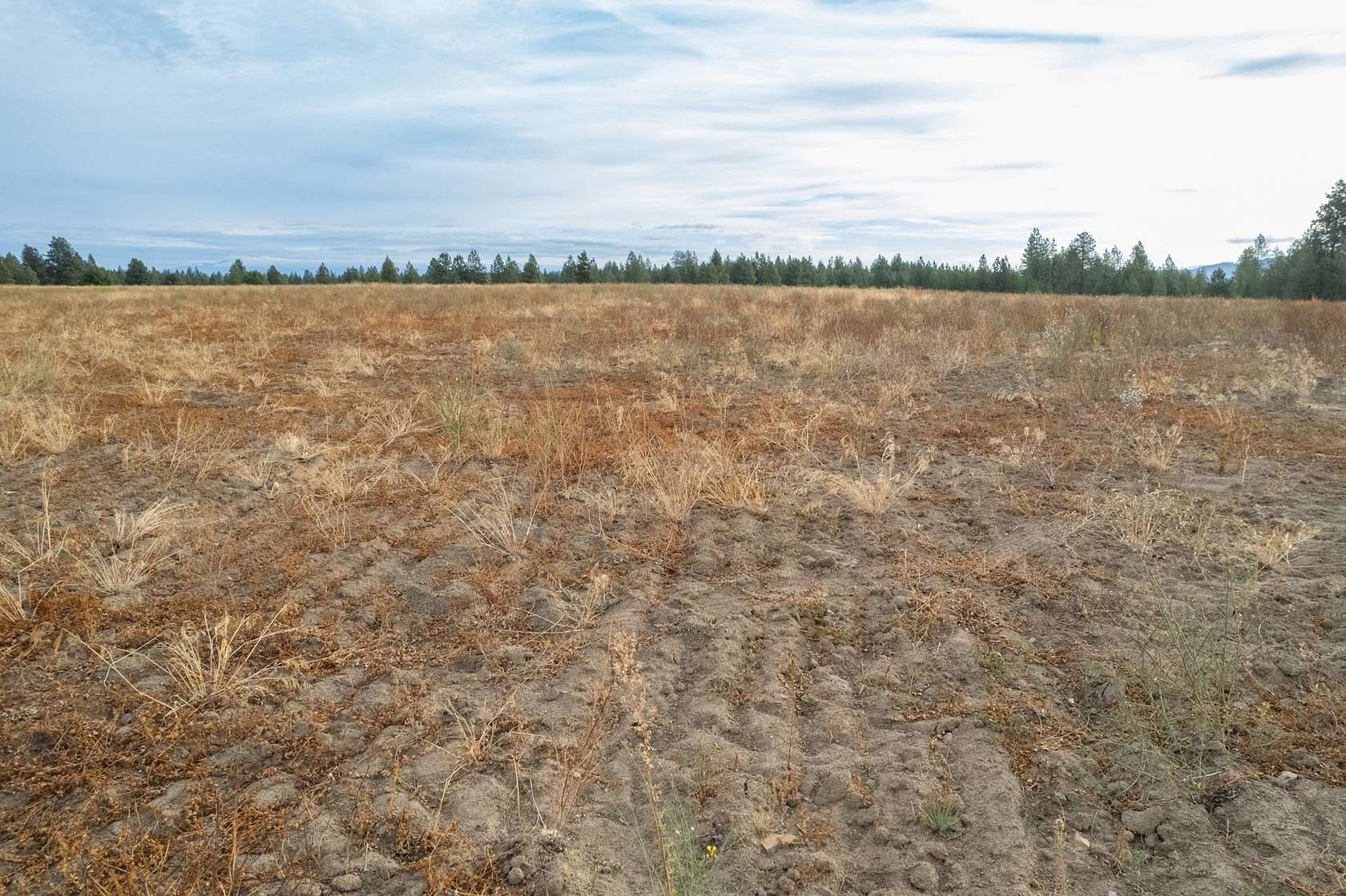 15 Acres of Land for Sale in Spokane, Washington